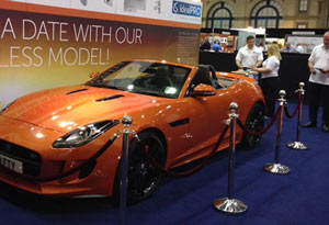 Crowd Control Barriers Outdoors