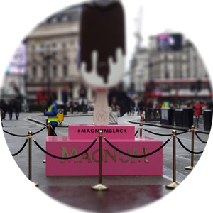 Rope and Post Barrier